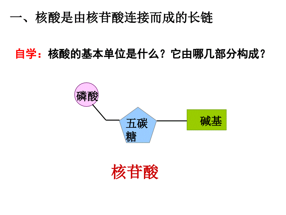 人教版高中生物必修一第二章第3节遗传信息的携带者核酸优秀课件25张5共25张PPT_第4页