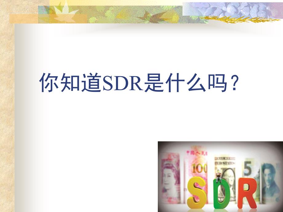 SDR特别提款权_第1页