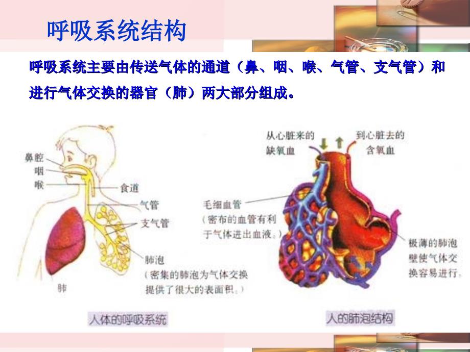 慢阻肺-呼吸衰竭_第3页