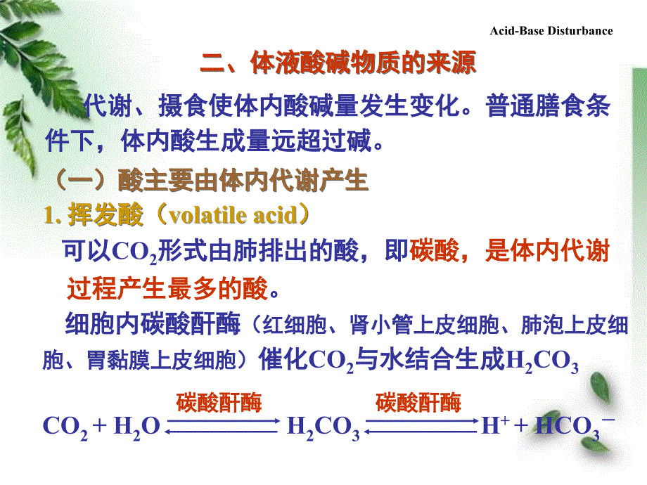 第七章酸碱平衡紊乱课件_第4页