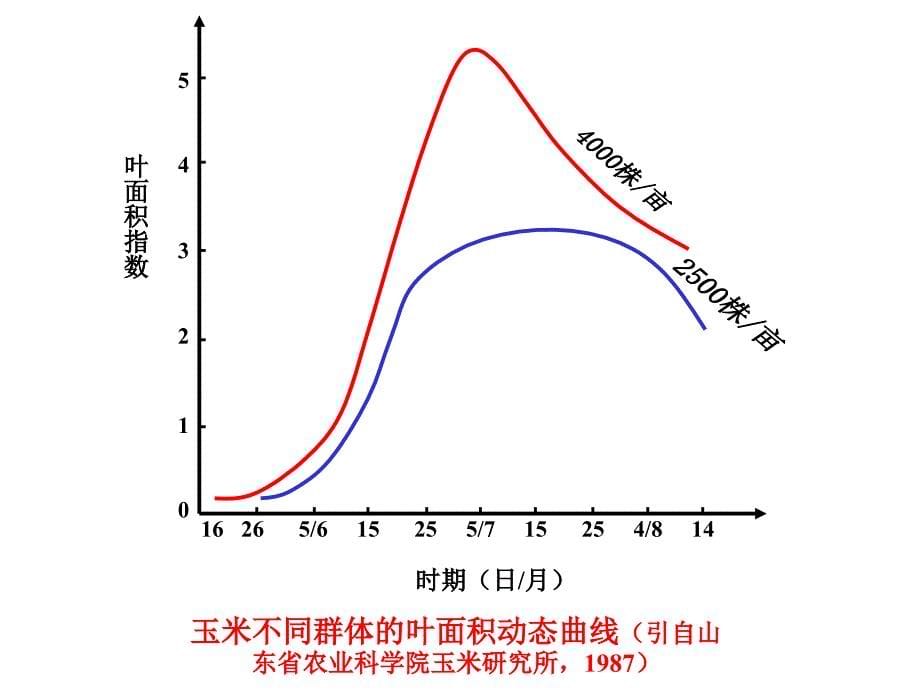 群体结构与作物产量.ppt_第5页