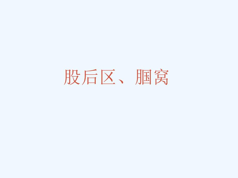 医学局部解剖学股后区窝_第1页