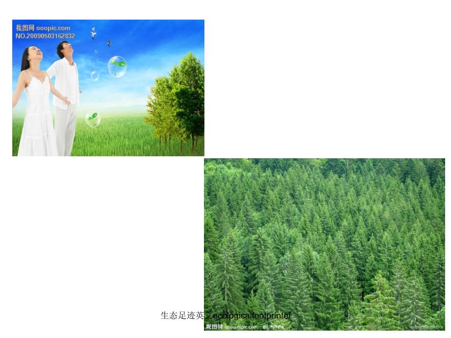 生态足迹英文ecologicalfootprintef课件_第4页