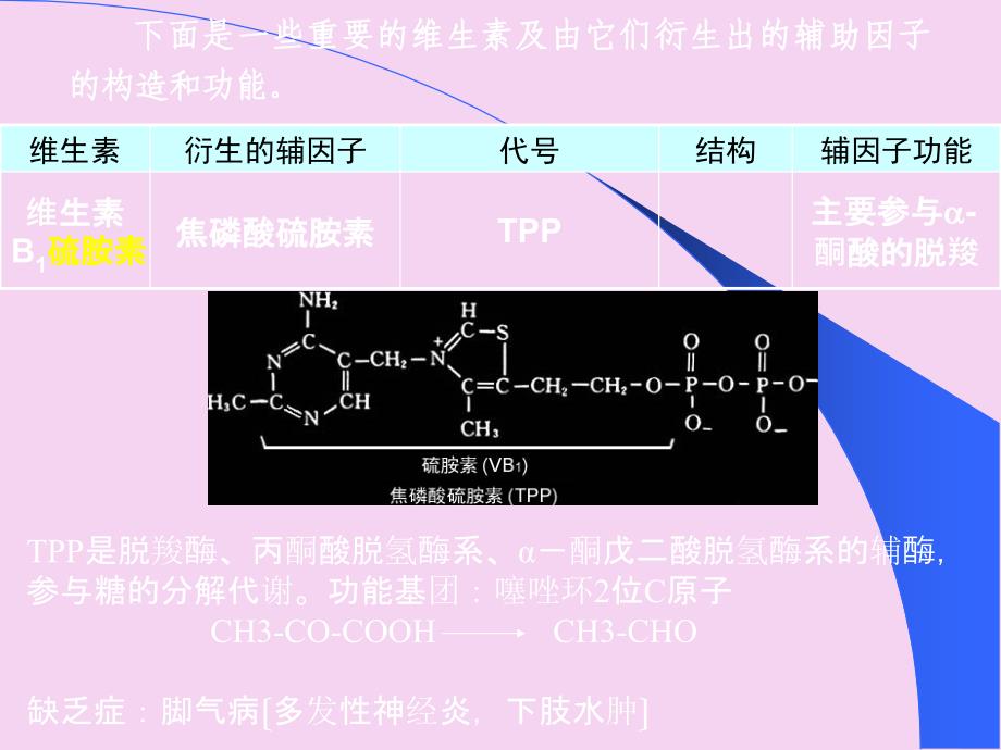 生物化学核酸ppt课件_第4页