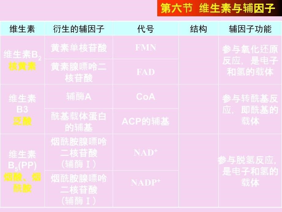 生物化学核酸ppt课件_第5页