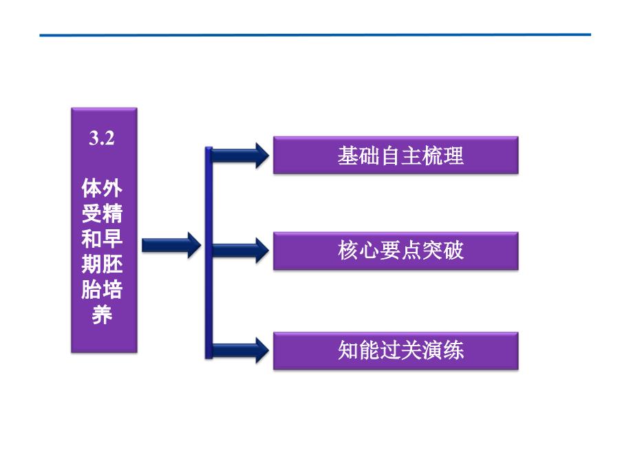 32体外受精和早期胚胎培养课件人教版选修III_第4页