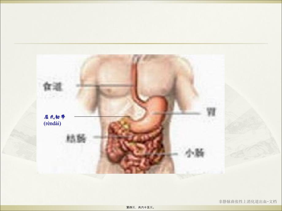非静脉曲张性上消化道出血-文档课件_第4页