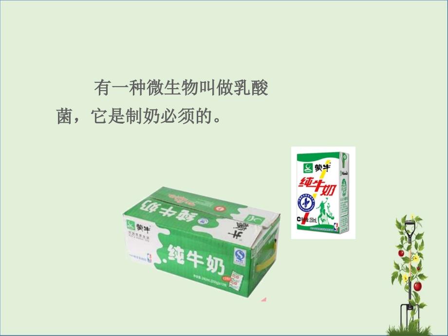 三年级语文上册第四组15玩出了名堂课件2新人教版新人教版小学三年级上册语文课件_第3页