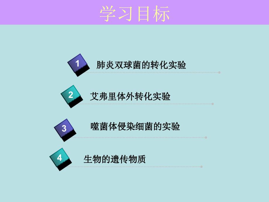 DNA是主要遗传物质甘艳群新建MicrosoftPowerPoint演示文稿(2)_第2页