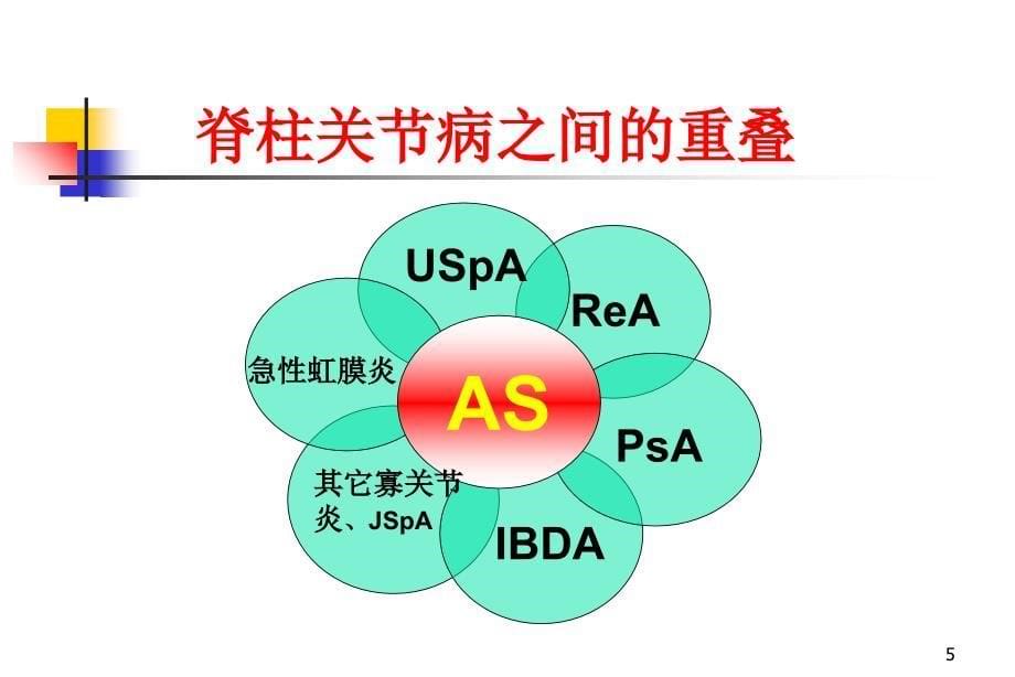 脊柱关节病杭州PowerPoint演示文稿_第5页