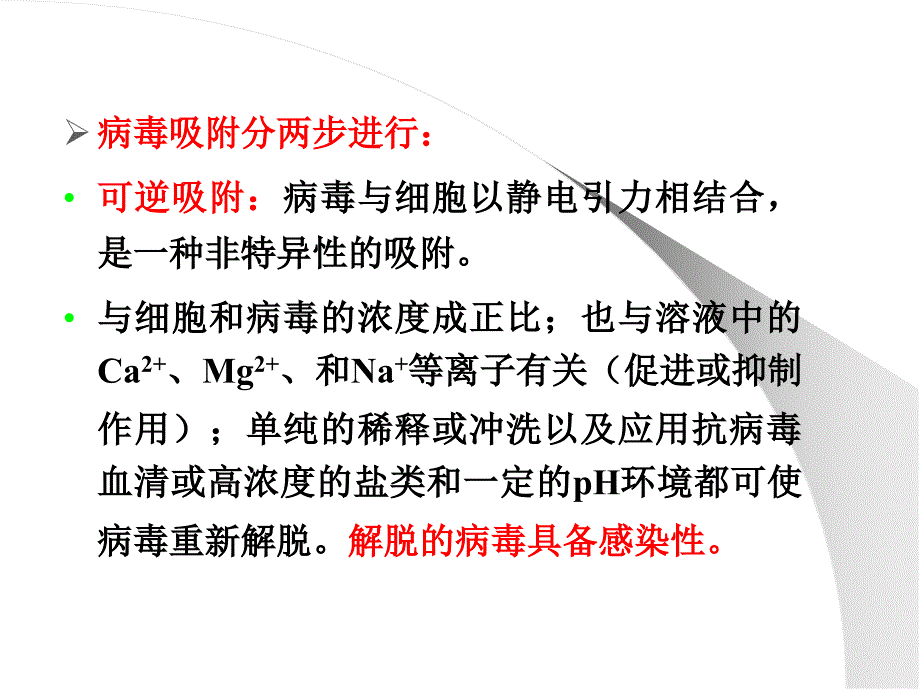 第三章：病毒的增殖_第4页