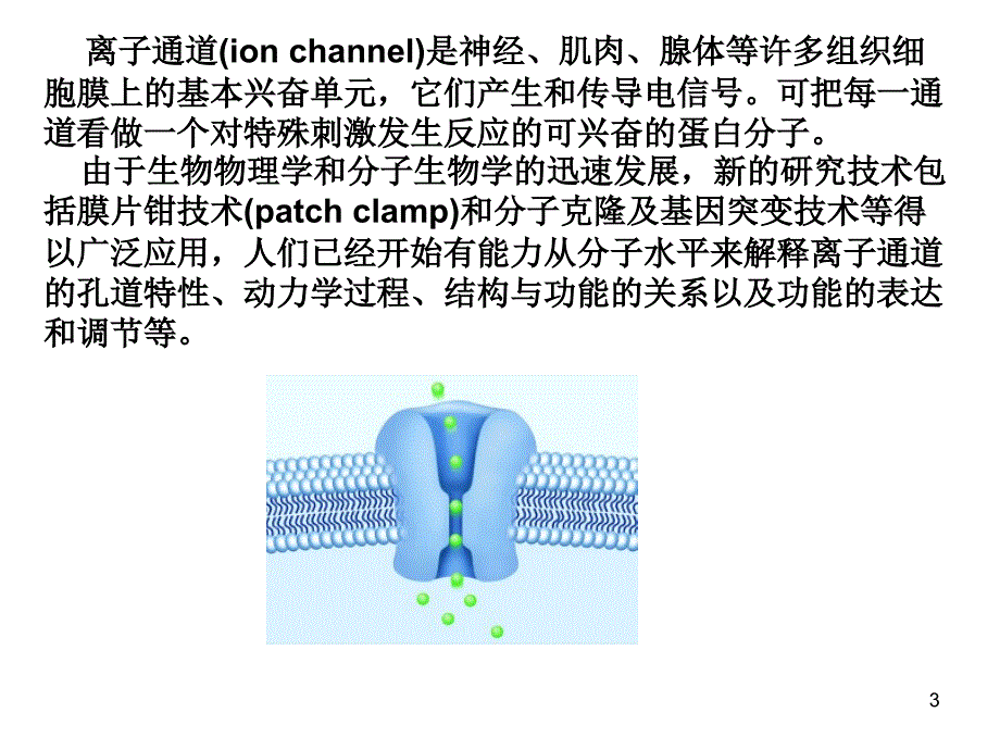 离子通道ppt课件_第3页