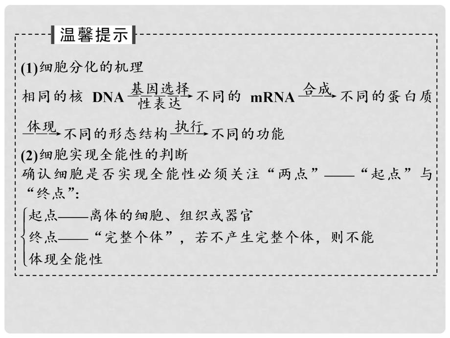 高考生物总复习 第二单元 细胞的代谢 第7讲 细胞的分化、癌变、衰老和凋亡课件_第4页