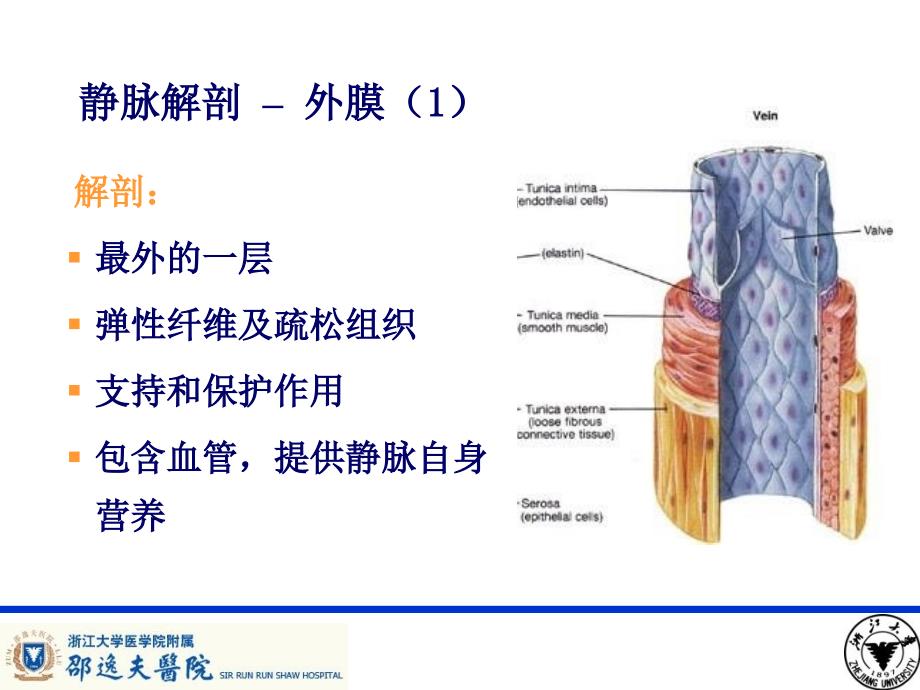 PICC导管相关性血栓形成及处理_第2页