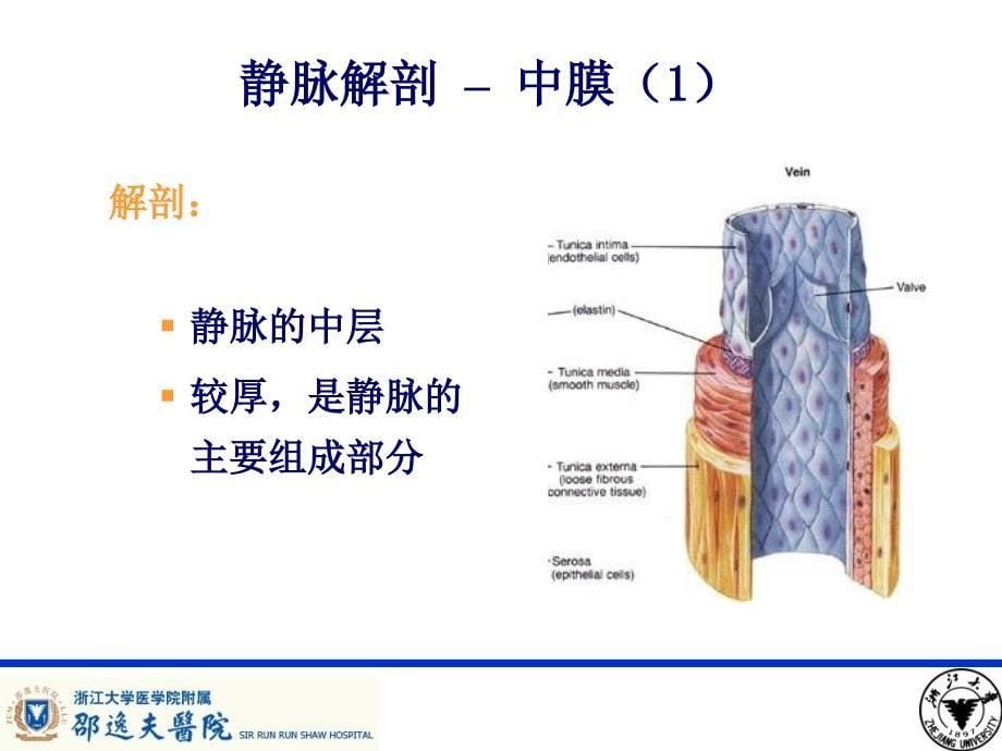 PICC导管相关性血栓形成及处理_第5页