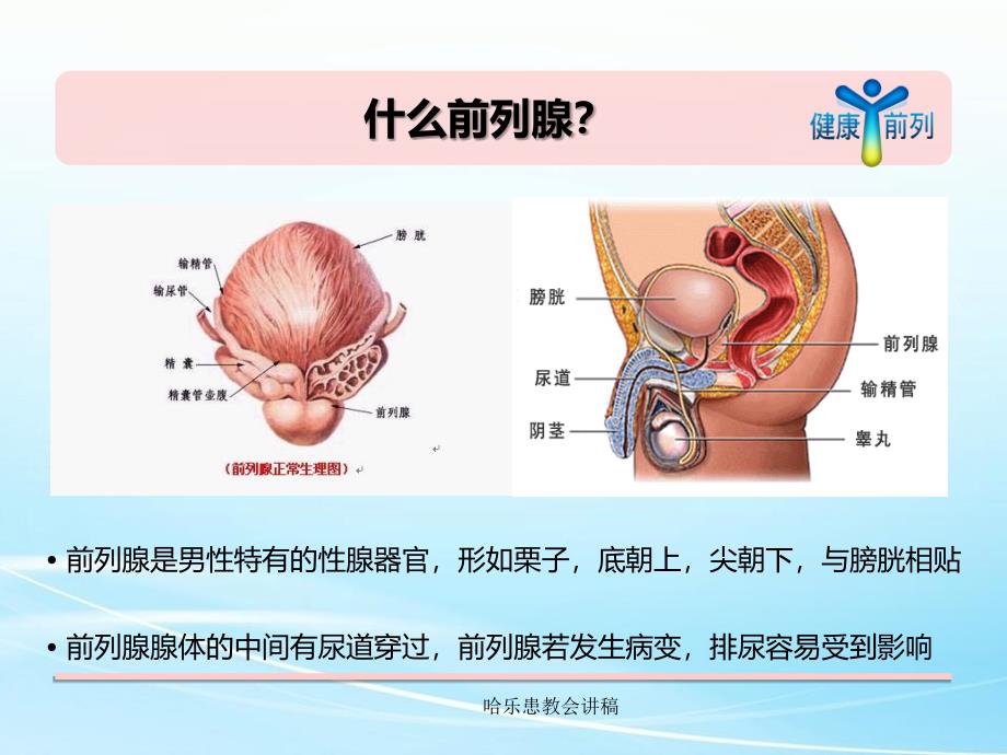 哈乐患教会讲稿课件_第4页