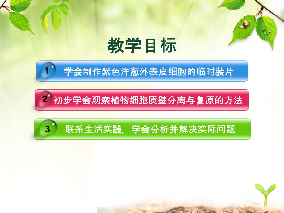 观察植物细胞质壁分离与复原实验课件.ppt_第2页