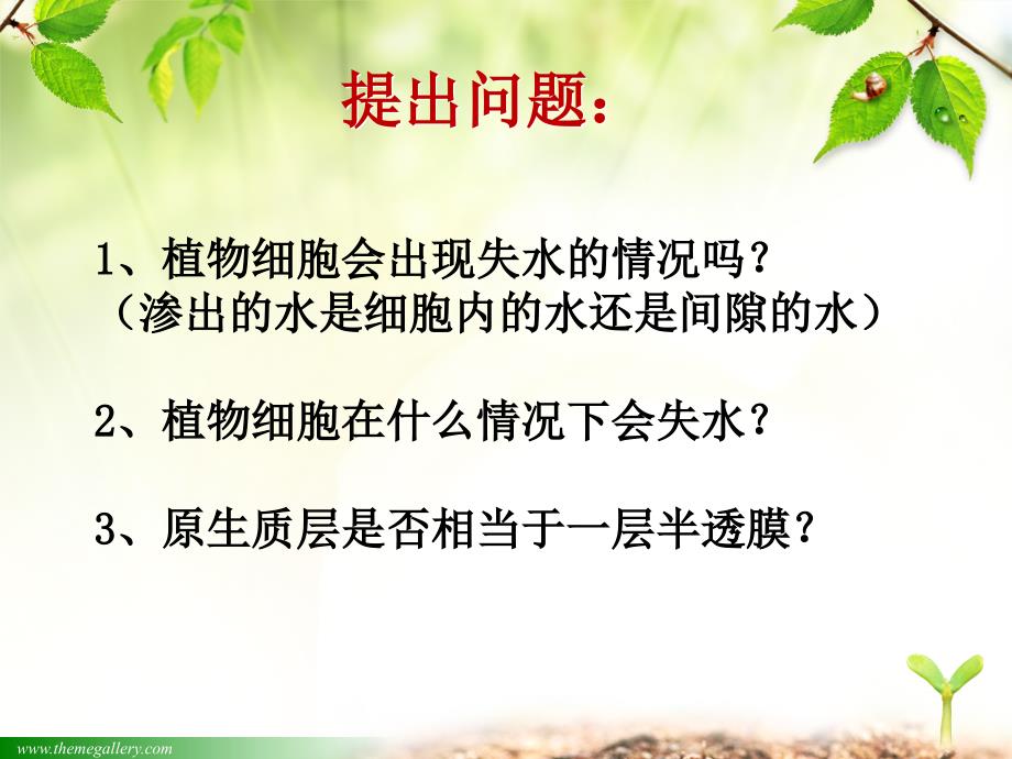 观察植物细胞质壁分离与复原实验课件.ppt_第4页