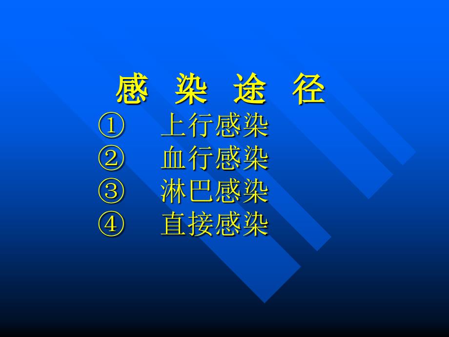 泌尿及男性生殖系非特异性感染课件_第4页