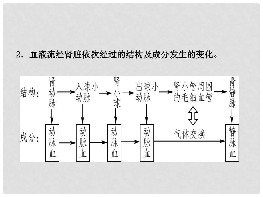 山东省淄博市中考生物 第四单元 第五章复习课件_第5页