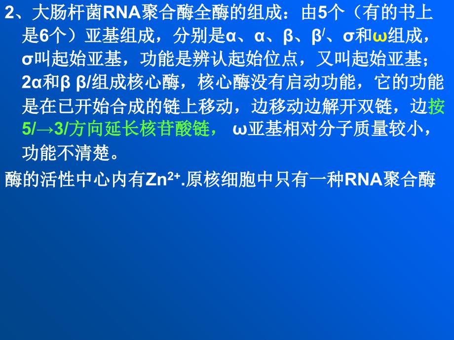 RNA的生物合成与加工课件_第4页