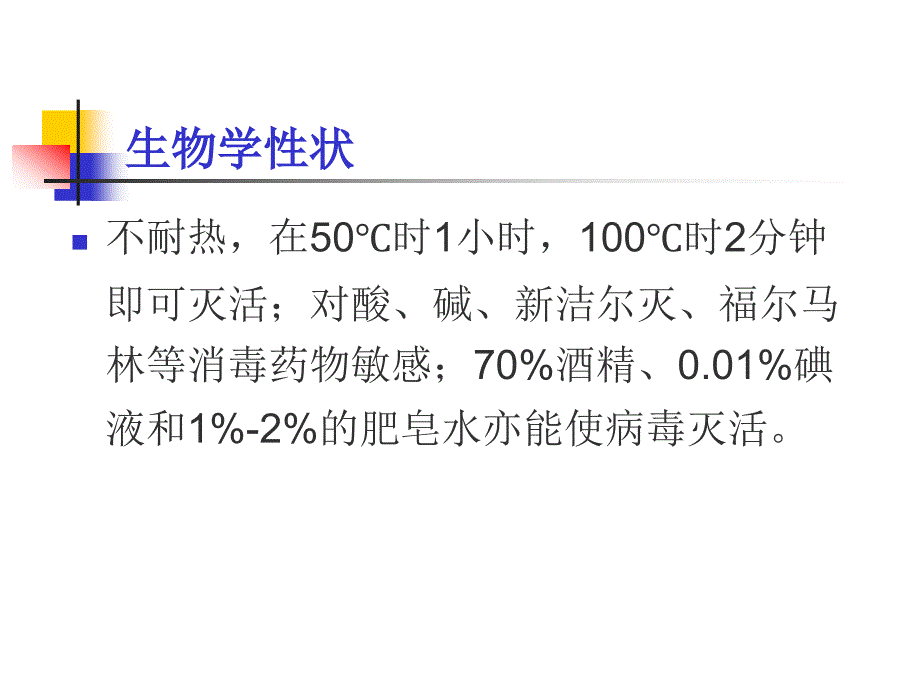 基础医学概论：其他病毒_第3页