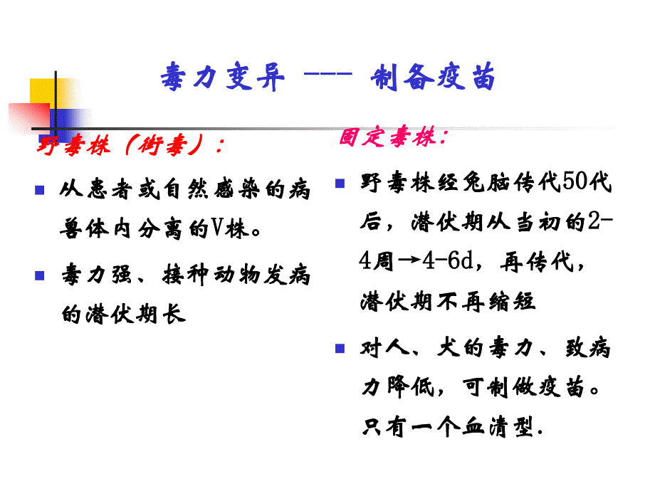 基础医学概论：其他病毒_第4页