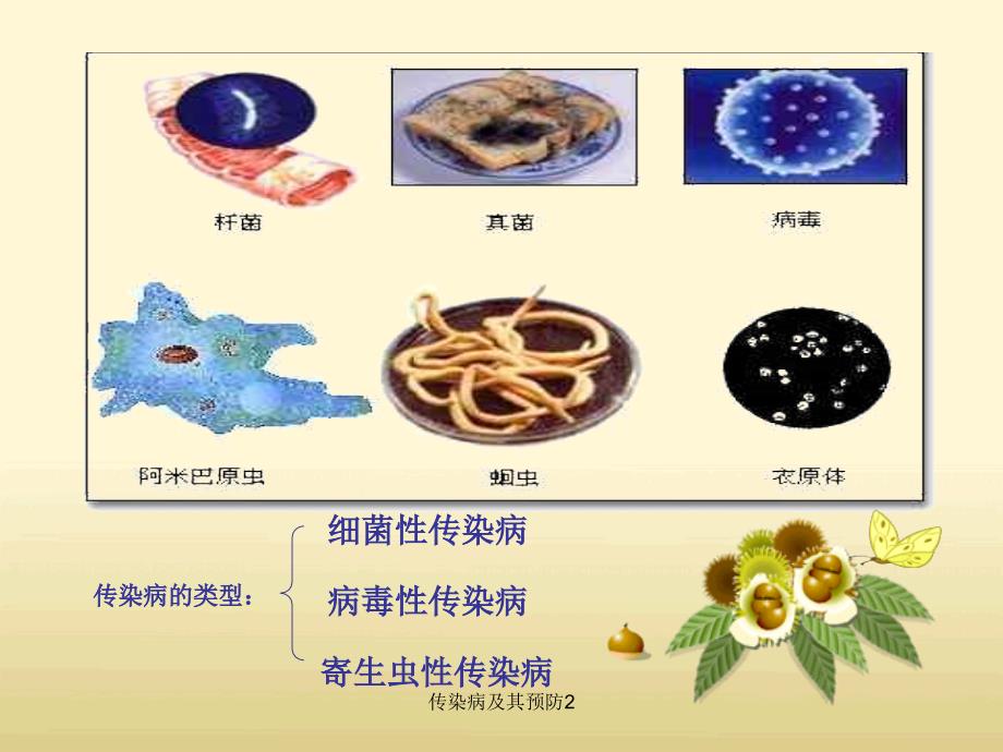 传染病及其预防2课件_第4页