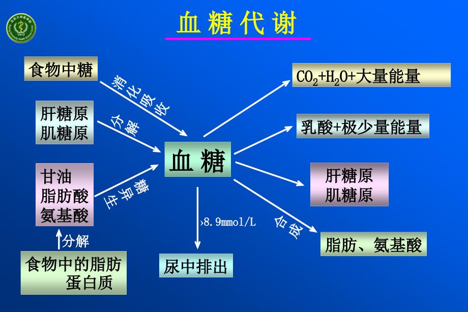 糖尿病病理生理学.ppt_第3页