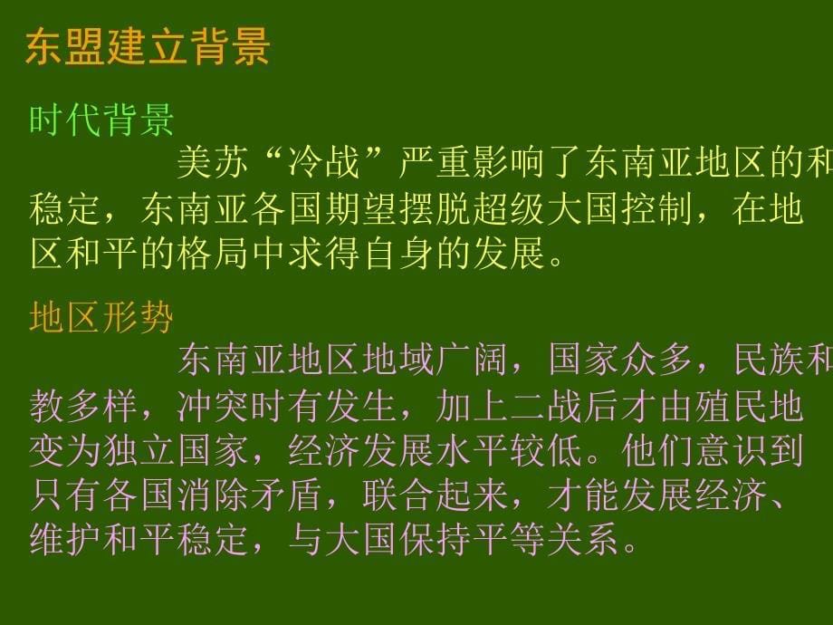 美洲与亚洲经济区域集团化_第5页