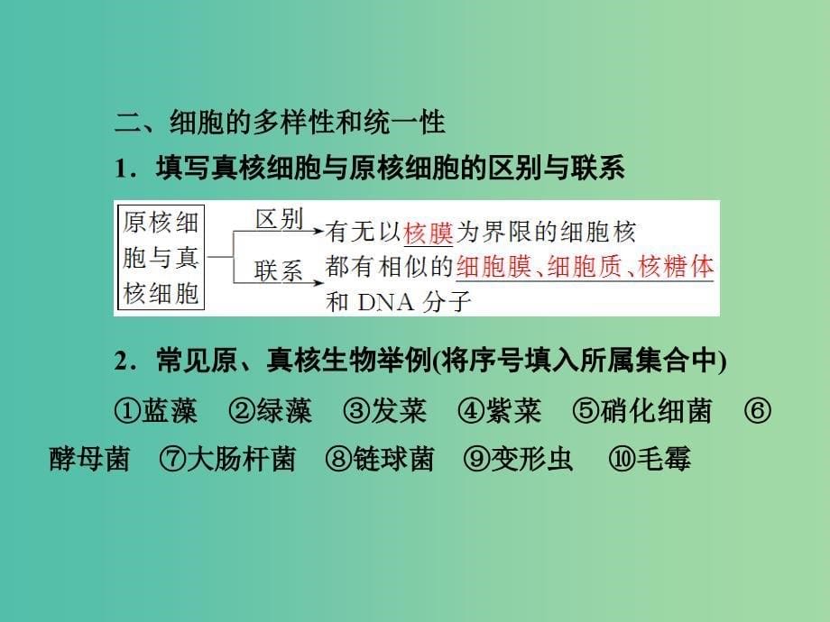 高考生物一轮复习 第一单元 细胞及其分子组成 第1讲 走近细胞课件.ppt_第5页