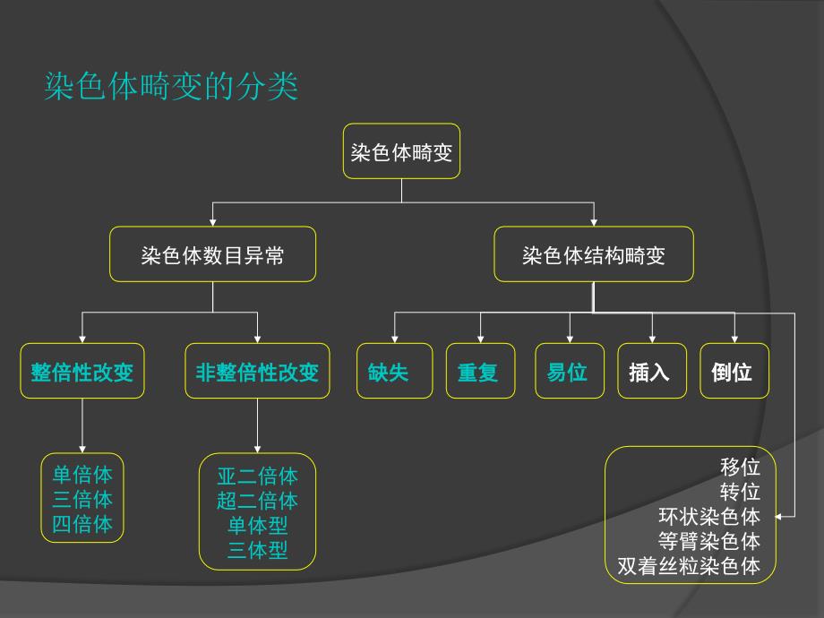 三倍体综合症和二倍体、三倍体混合型综合症课件_第2页