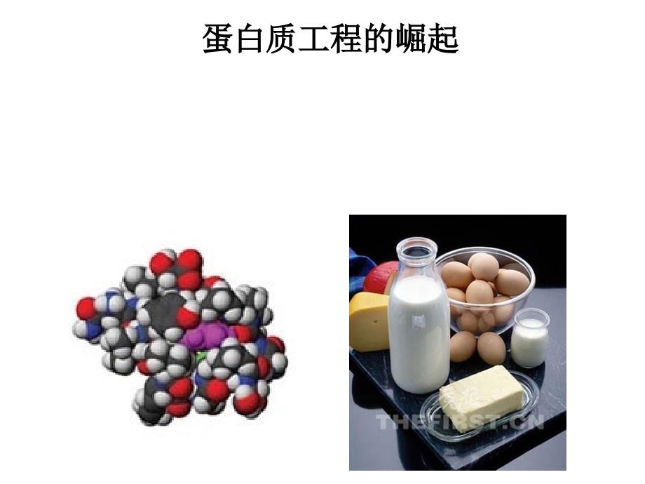 蛋白质工程的崛起CX_第4页