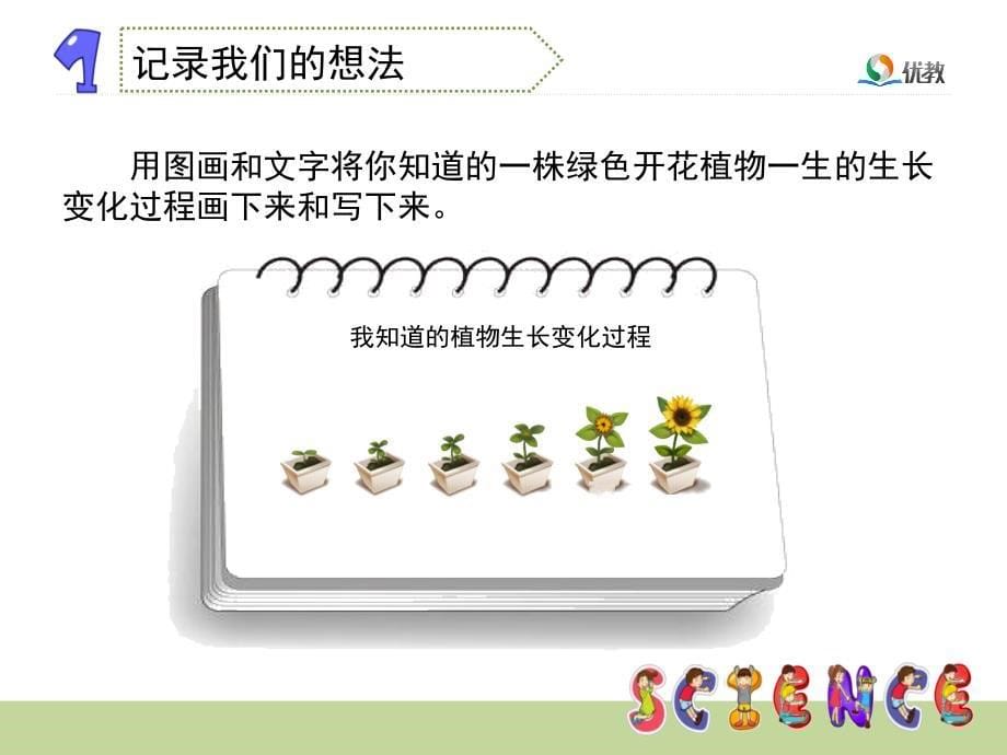 《植物新生命的开始》教学课件_第5页