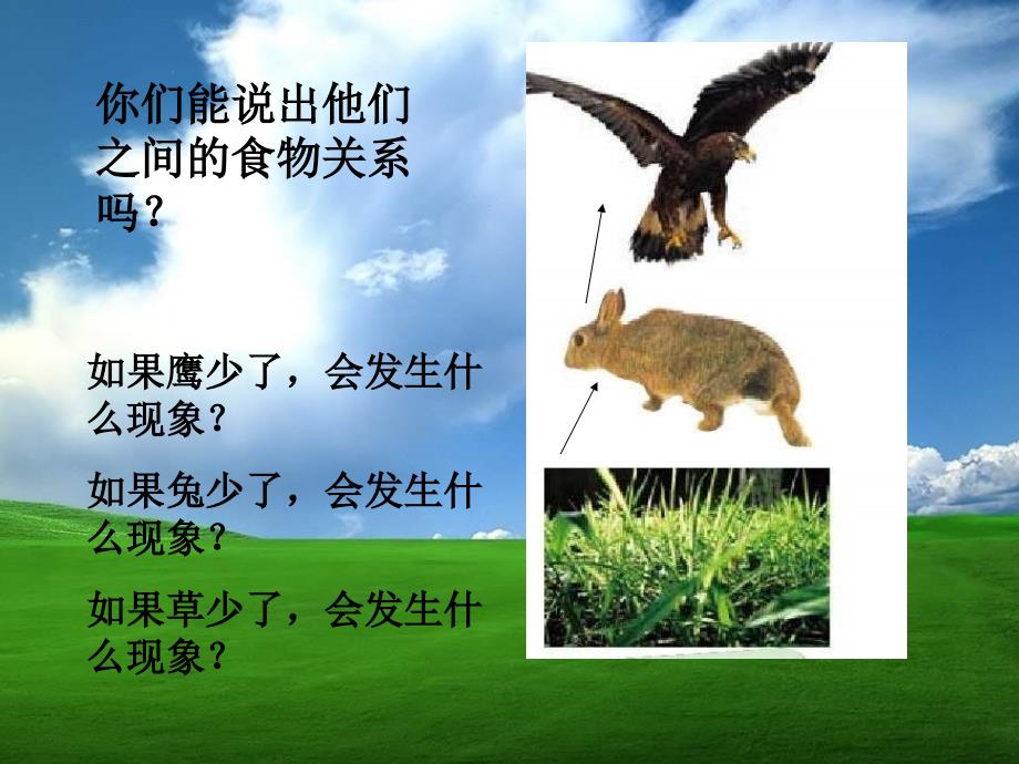 教科科学五上《维护生态平衡》课件.ppt_第4页