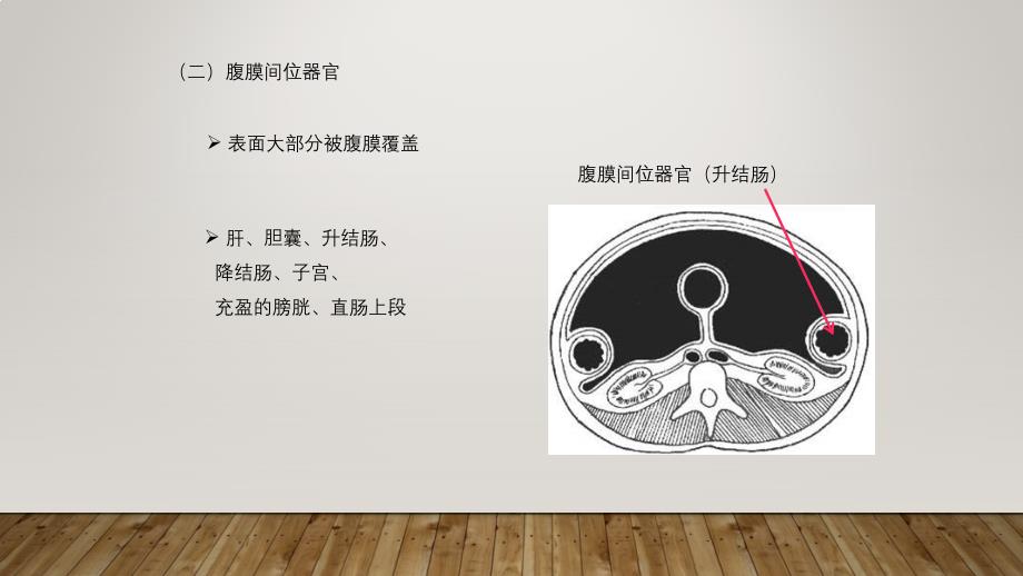 系统解剖学——腹膜.ppt_第4页