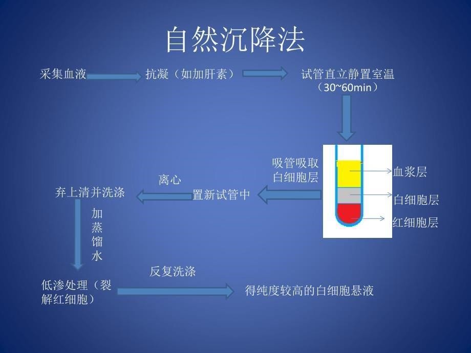 免疫细胞分离技术终概要.ppt_第5页