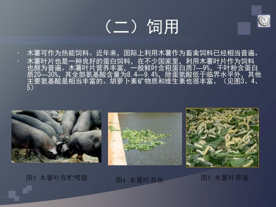 木薯种植施肥技术与病虫害防治.ppt_第5页