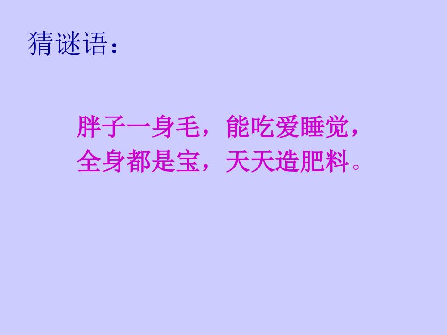 二年级二期《品德与生活》我和动物交朋友_第2页