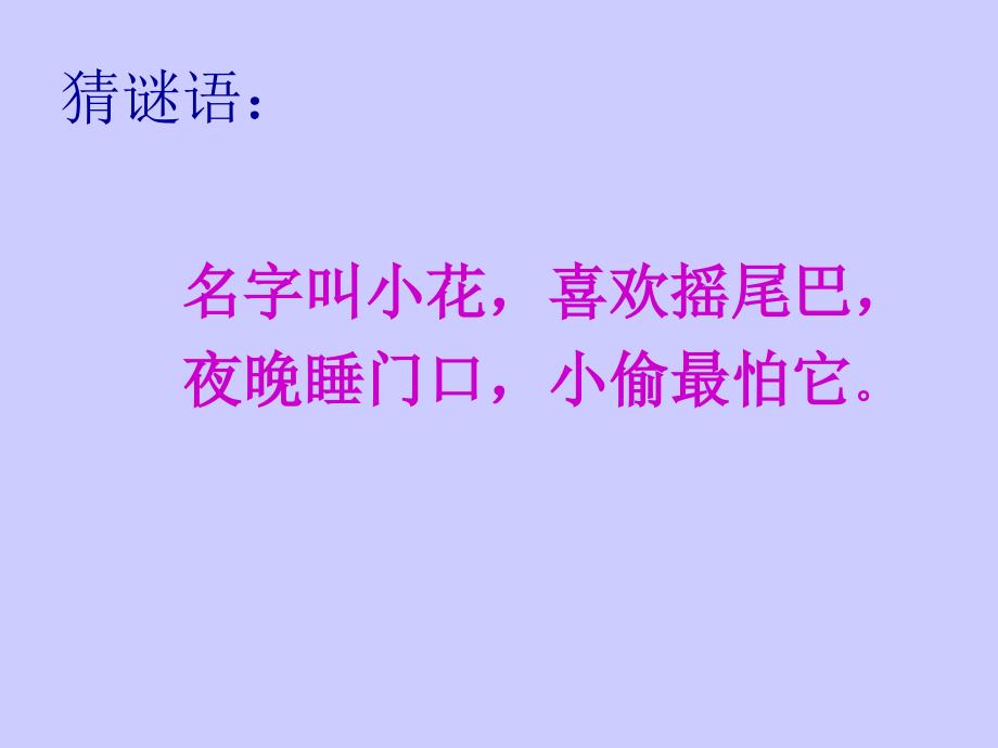 二年级二期《品德与生活》我和动物交朋友_第4页