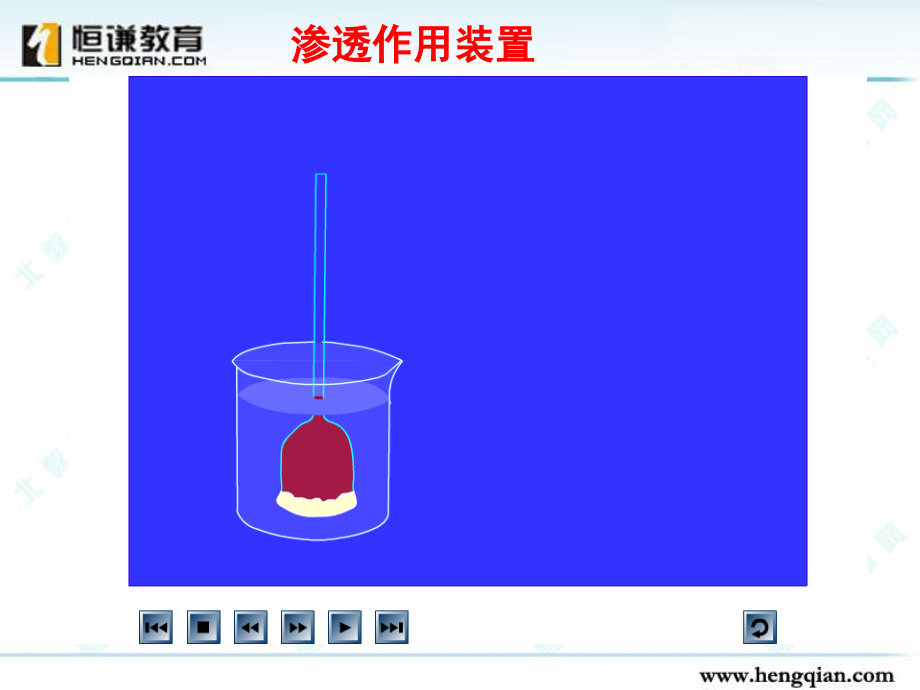 生物必修一全套课件二_第4页