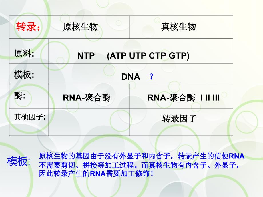 原核生物真核生物基因表达比较_第2页