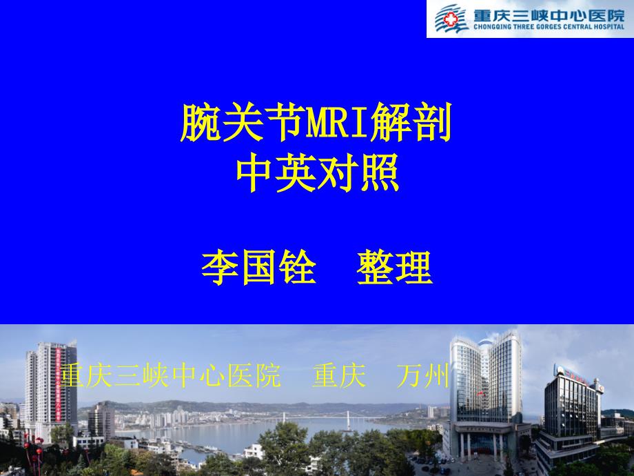 腕关节MR解剖中英对照_第1页