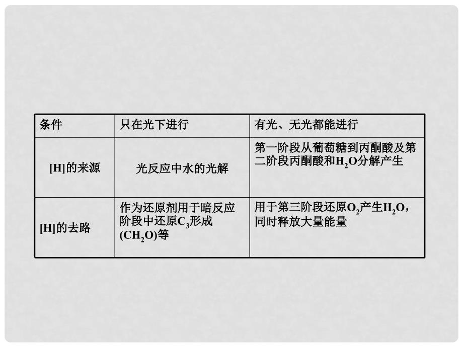 高考生物一轮总复习 第五章 细胞的能量供应和利用 5.4 能量之源—光与光合作用（4）（光合作用和呼吸作用的关系化能合成作用）课件 新人教版必修1_第3页