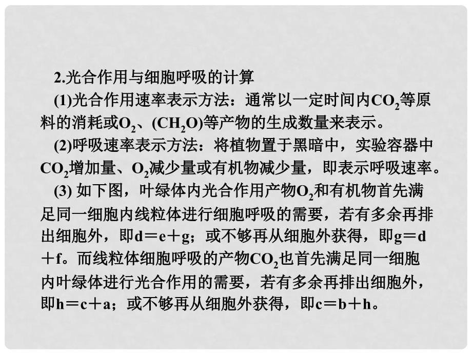 高考生物一轮总复习 第五章 细胞的能量供应和利用 5.4 能量之源—光与光合作用（4）（光合作用和呼吸作用的关系化能合成作用）课件 新人教版必修1_第5页