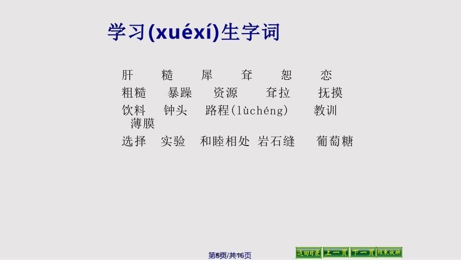 28小狮子爱尔莎实用教案_第5页