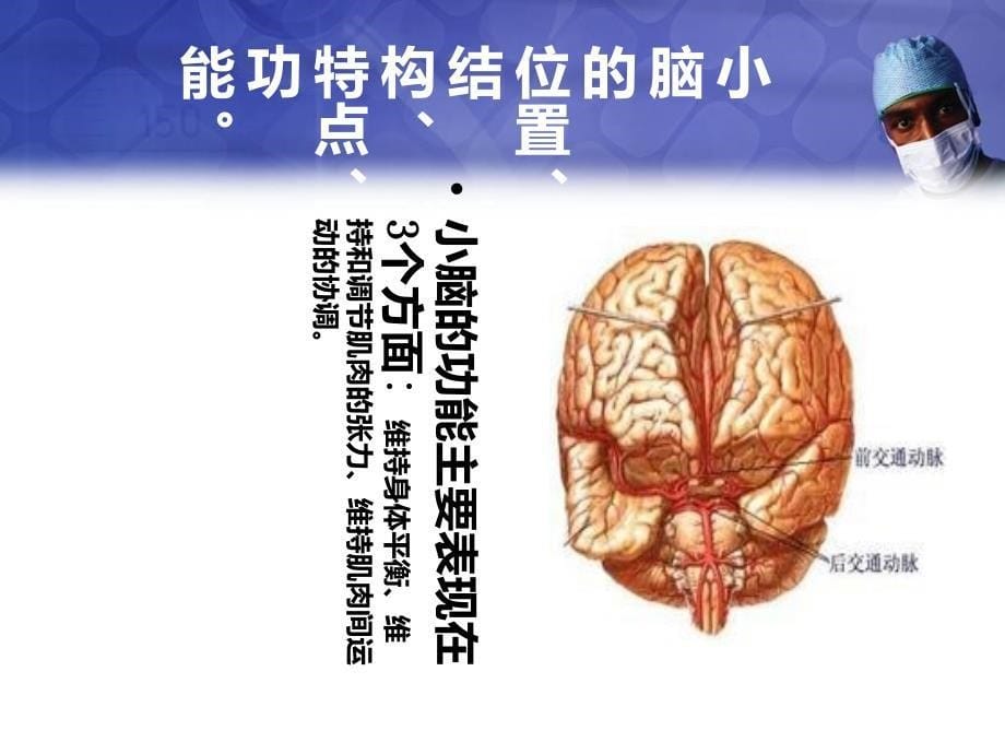 优质课件小脑出血护理查房_第5页