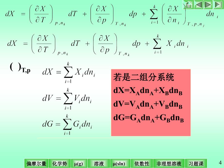 物理化学第四版课件印永嘉等编第3章化学势_第4页