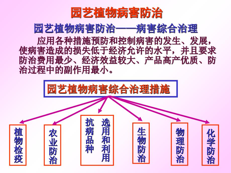 园艺植物病害综合治理.ppt_第2页