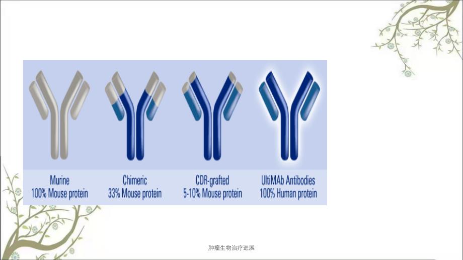 肿瘤生物治疗进展课件_第4页